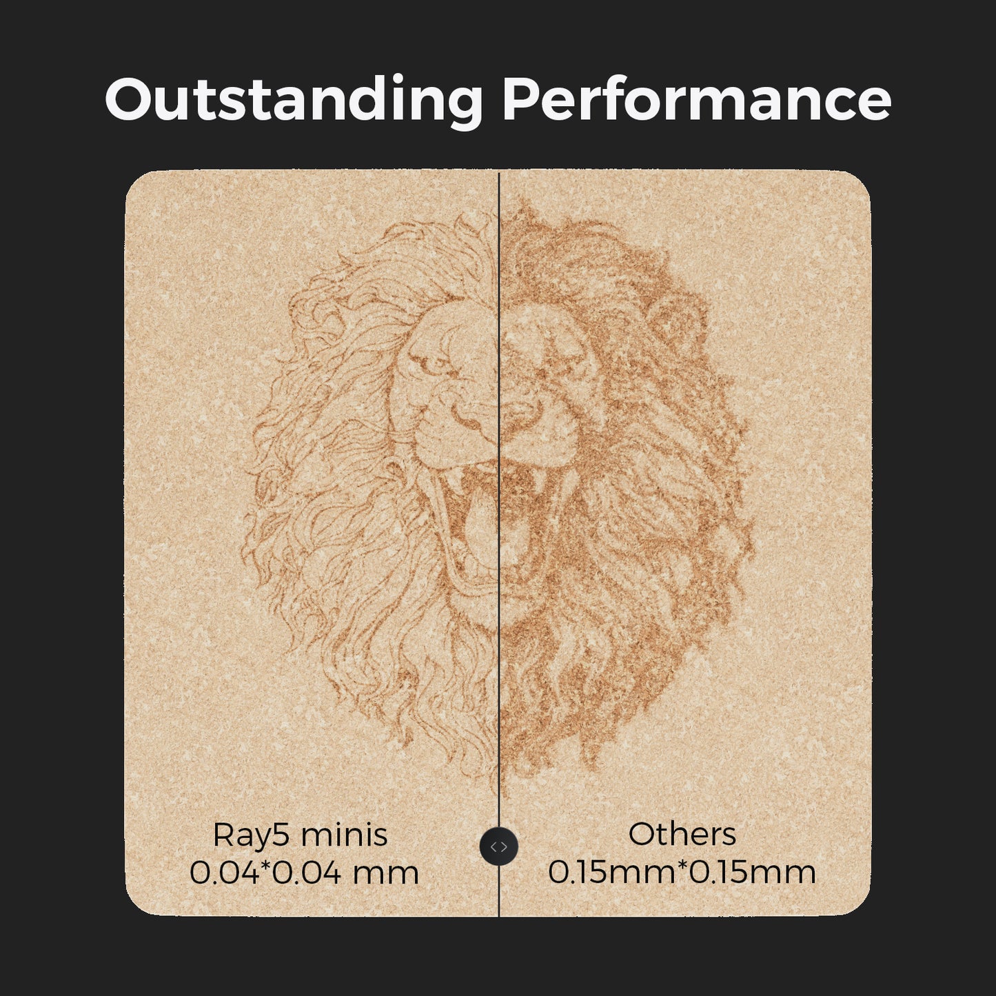 Longer Ray5 MiniS - 2,5 W